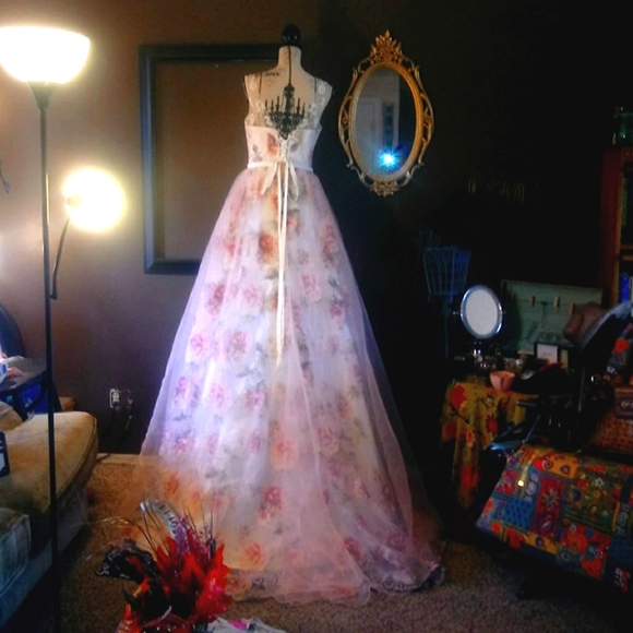 Gorgeous custom made gown - Picture 9 of 14